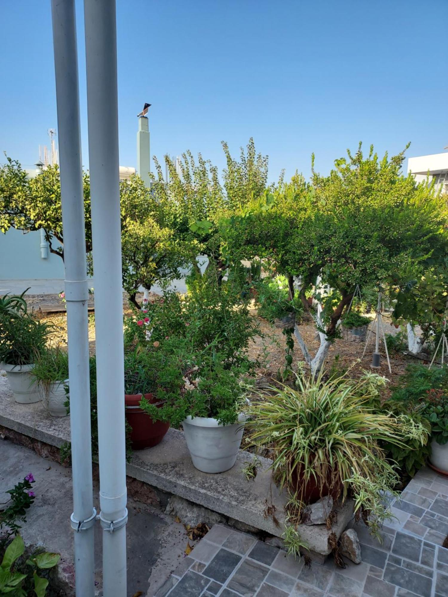 Holiday home Anastasia's Garden House Ialysos (Rhodes)